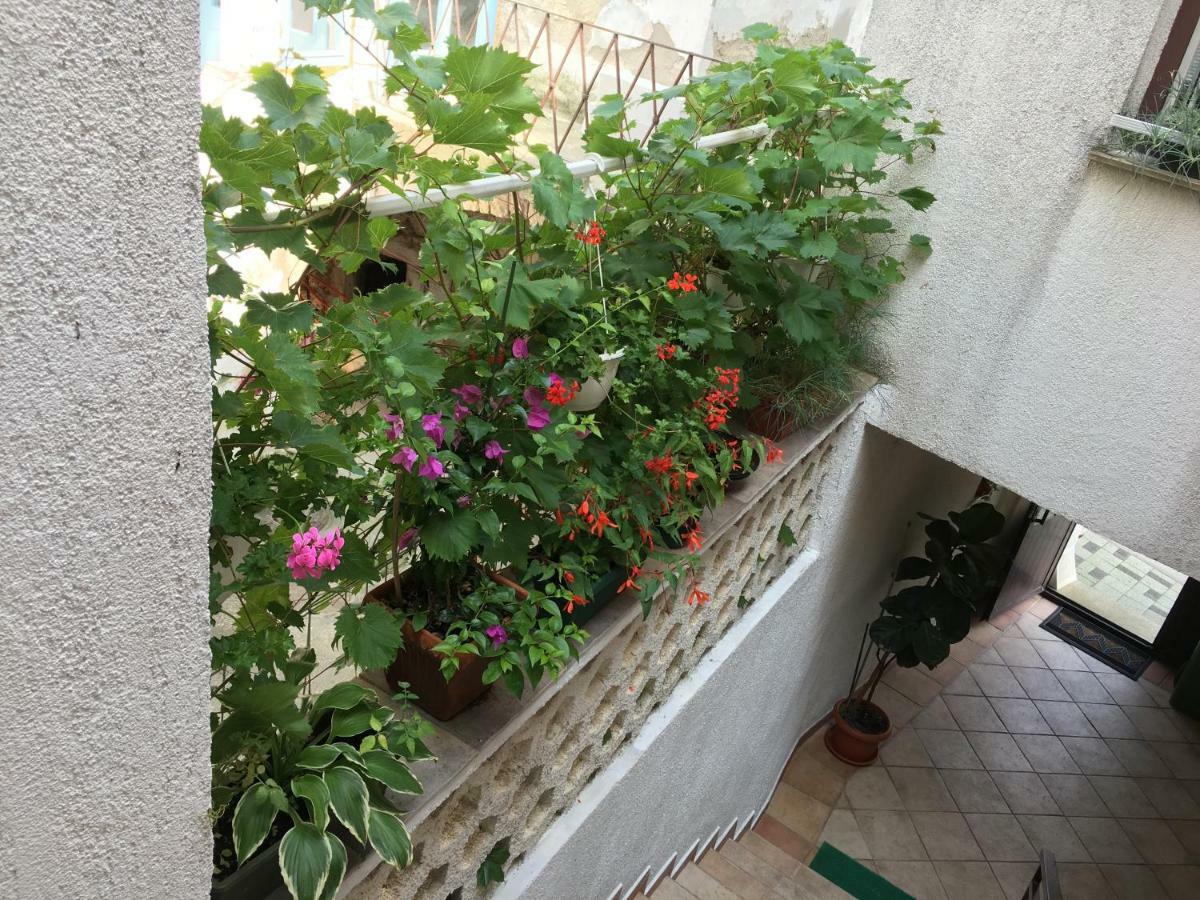 Apartment Lucija 노비비노돌스키 외부 사진