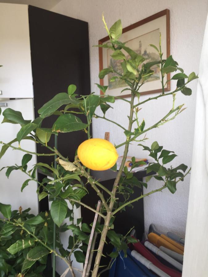 Apartment Lucija 노비비노돌스키 외부 사진